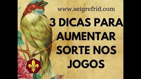 qual melhor ia para apostas esportivas 