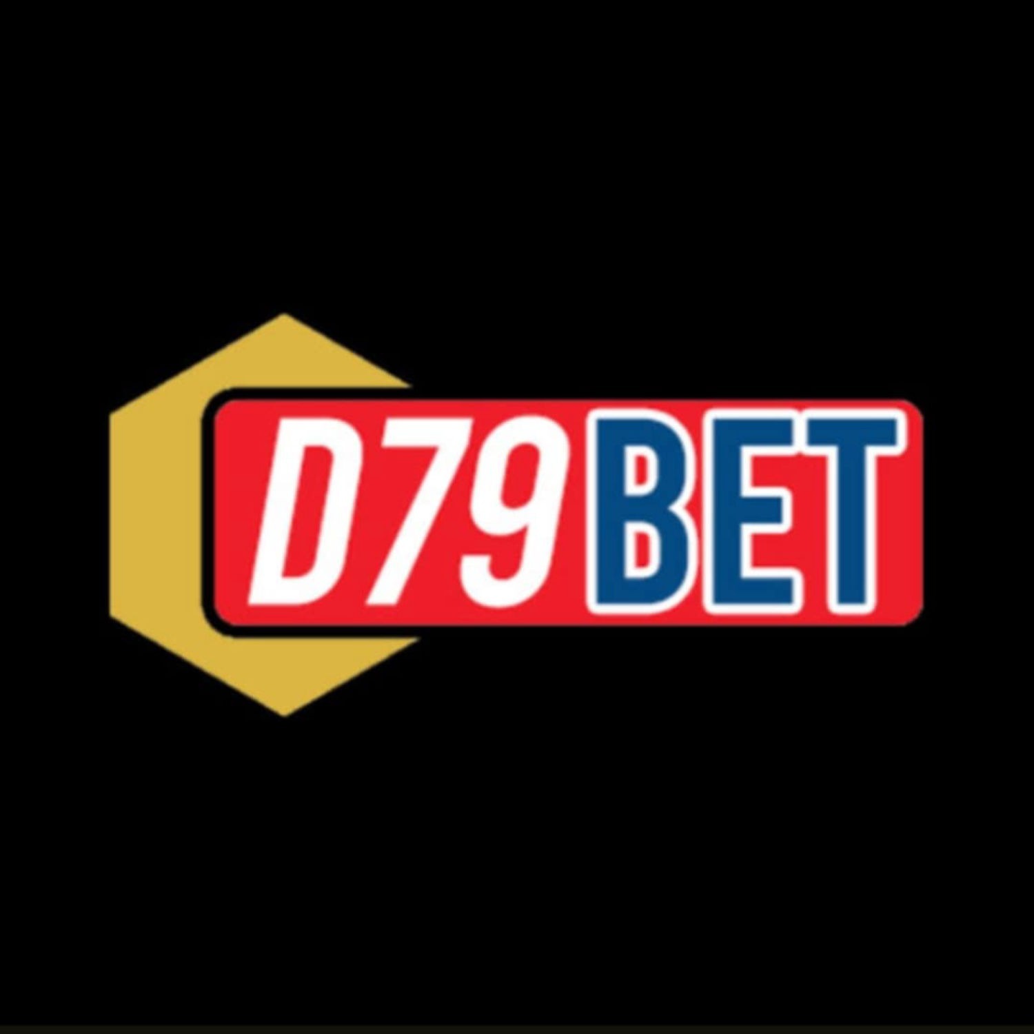 winners bet app download old version 